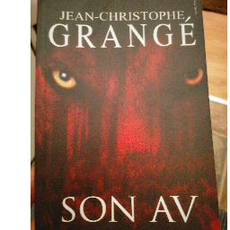 Son Av - Jean Christophe Grange Buca, İzmir ve Türkiyenin her yerinden İkinci el ücretsiz kitap