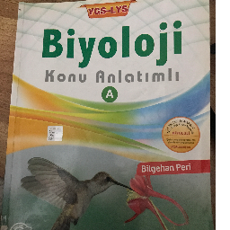 Biyoloji - Palme Yayınları Gelibolu, Çanakkale ve Türkiyenin her yerinden İkinci el ücretsiz kitap