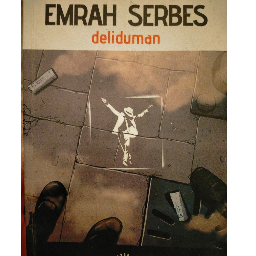 Deliduman - Emrah Serbes Pendik, İstanbul ve Türkiyenin her yerinden İkinci el ücretsiz kitap