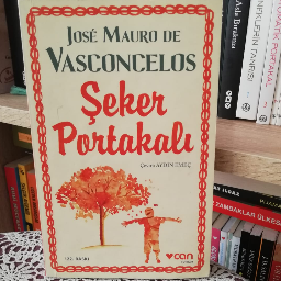 Şeker Portakalı - Jose Mauro De Vasconcelos Esenyurt, İstanbul ve Türkiyenin her yerinden İkinci el ücretsiz kitap