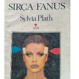 Sırça Fanus - Sylvia Plath Buca, İzmir ve Türkiyenin her yerinden İkinci el ücretsiz kitap