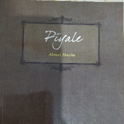 Piyale - Ahmet Haşim Kayapınar, Diyarbakır ve Türkiyenin her yerinden İkinci el ücretsiz kitap