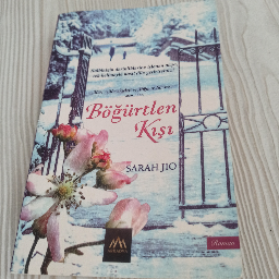 Böğürtlen Kışı - Sarah Jio Buca, İzmir ve Türkiyenin her yerinden İkinci el ücretsiz kitap
