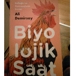 Biyolojik Saat - Ali Demirsoy Buca, İzmir ve Türkiyenin her yerinden İkinci el ücretsiz kitap