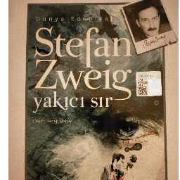 Yakıcı Sır - Stefan Zweig Buca, İzmir ve Türkiyenin her yerinden İkinci el ücretsiz kitap
