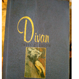 Divan - Irvin D. Yalom Seyhan, Adana ve Türkiyenin her yerinden İkinci el ücretsiz kitap