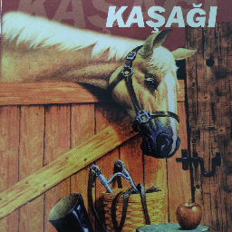 Kaşağı - Ömer Seyfettin Buca, İzmir ve Türkiyenin her yerinden İkinci el ücretsiz kitap