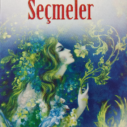 Divan Şiirinden Seçmeler - Erol Battal Buca, İzmir ve Türkiyenin her yerinden İkinci el ücretsiz kitap