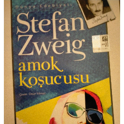 Amok Koşucusu - Stefan Zweig Buca, İzmir ve Türkiyenin her yerinden İkinci el ücretsiz kitap